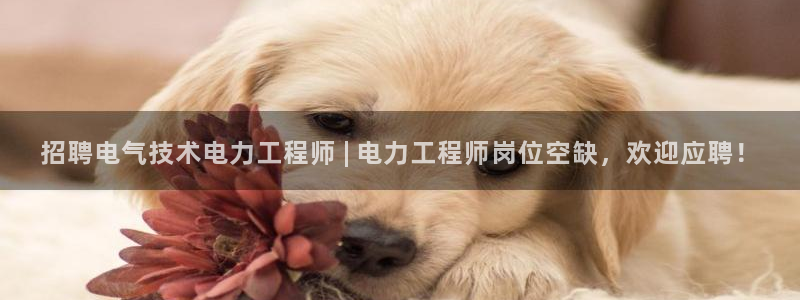 凯发娱乐官方网站