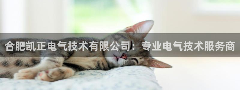 凯发网娱乐官网国际