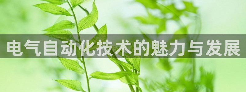 凯发k8娱乐官网最新版本