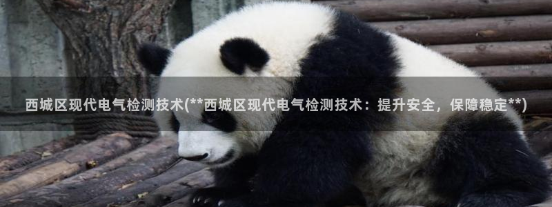凯发国际网站首页