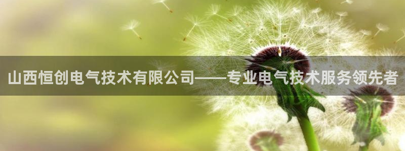 凯发国际平台登录入口官网：山西恒创电气技术有限公司
