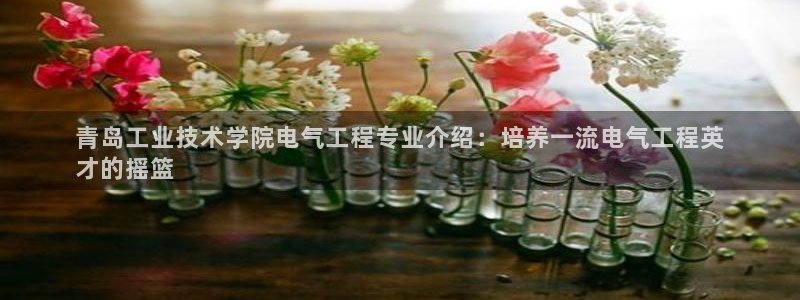凯发k8国际真人娱乐手机app：青岛工业技术学院电
