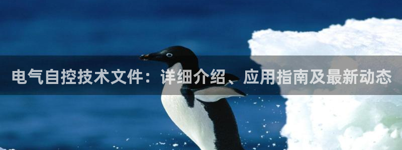凯发正规网站：电气自控技术文件：详细介绍、应用指南
